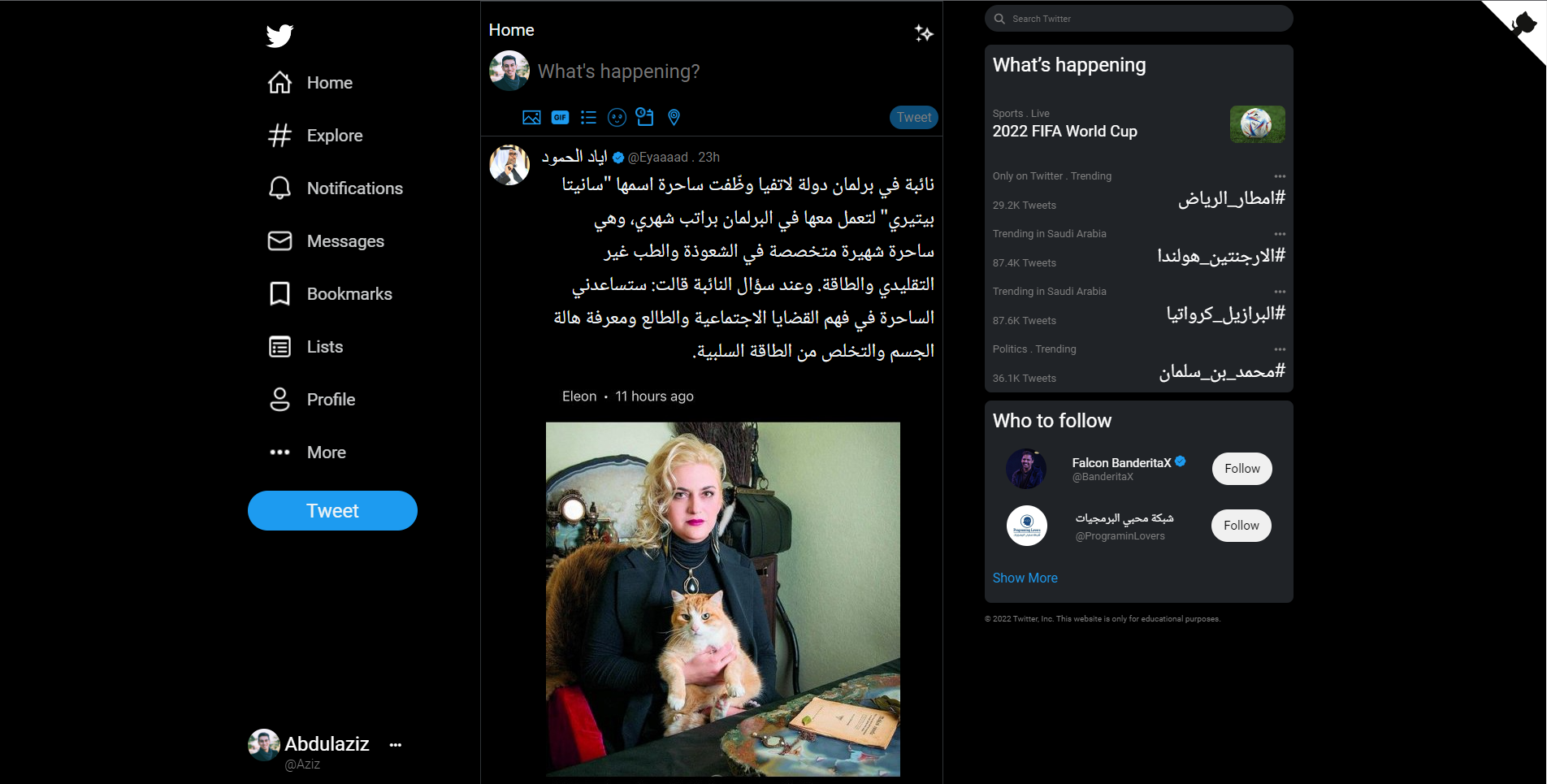 Budget Manager project